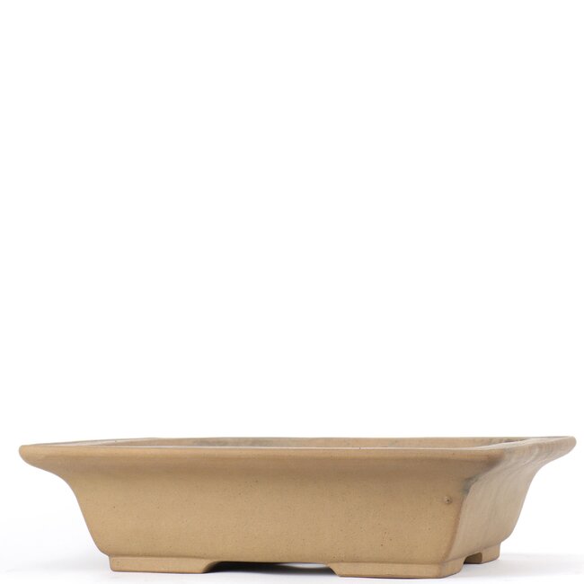 Pot à bonsaï rectangulaire marron par Shoko - 305 x 245 x 78 mm