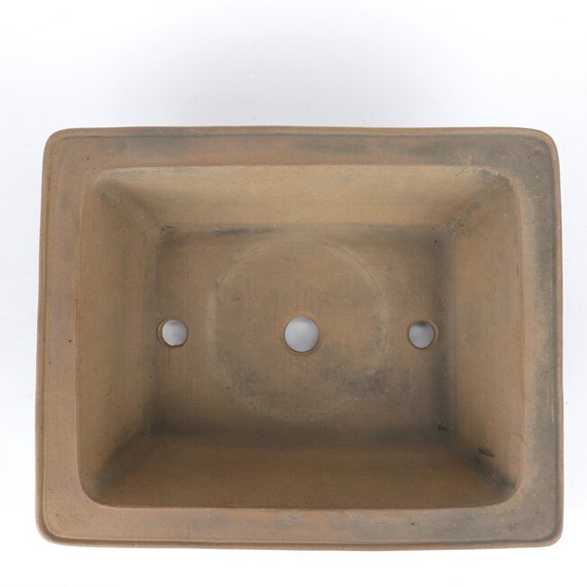 Maceta de bonsai rectangular marrón de Shoko - 305 x 245 x 78 mm