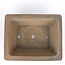 Pot à bonsaï rectangulaire marron par Shoko - 305 x 245 x 78 mm