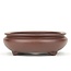 Oval unglazed bonsai pot by Yamaaki - 340 x 280 x 100 mm