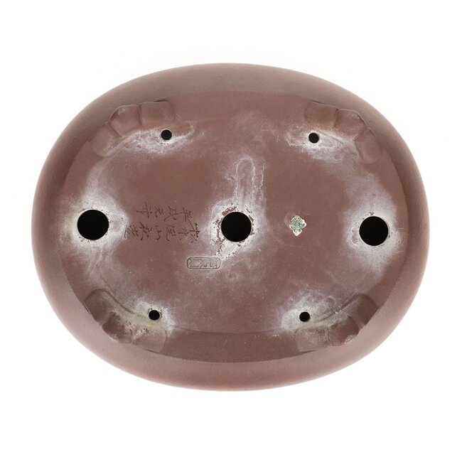 Maceta de bonsai ovalada sin esmaltar de Yamaaki - 340 x 280 x 100 mm