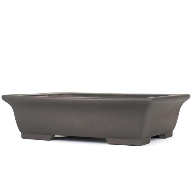 Vaso bonsai rettangolare non smaltato di Eiraku - 365 x 280 x 100 mm