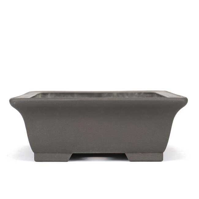 Rectangular unglazed bonsai pot by Eiraku - 365 x 280 x 100 mm