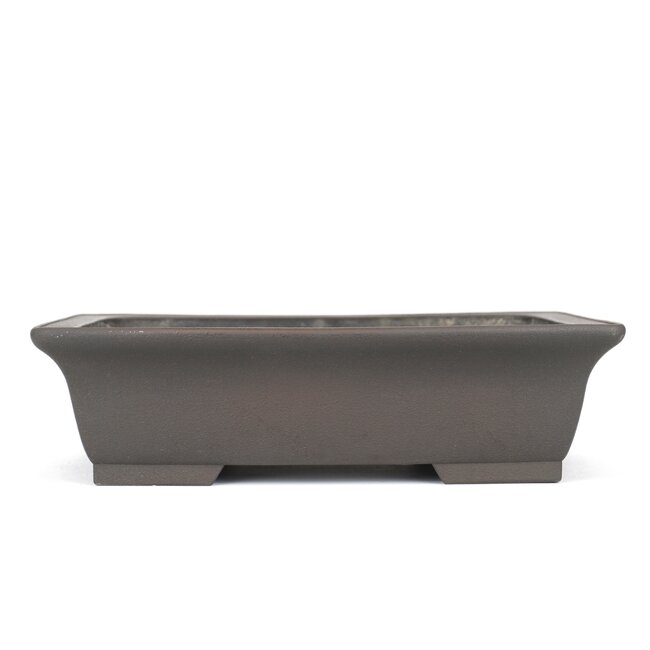 Pot à bonsaï rectangulaire non émaillé par Eiraku - 365 x 280 x 100 mm
