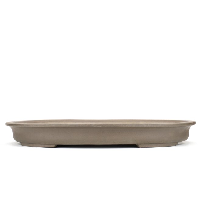 Pot à bonsaï ovale non émaillé de Seibun - 580 x 445 x 70 mm