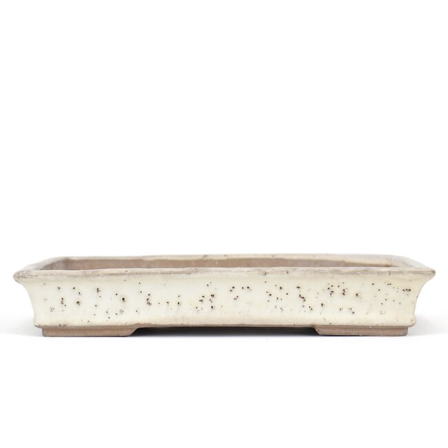 Vaso bonsai rettangolare beige di Shuhou - 360 x 255 x 55 mm