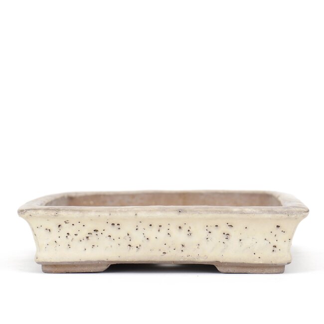 Maceta de bonsai rectangular beige de Shuhou - 360 x 255 x 55 mm