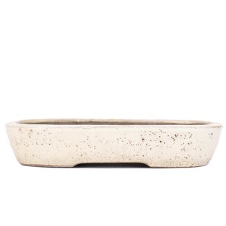 Shuuhou (Hidemi Kataoka) 350 mm rectangular beige bonsai pot by Shuhou, Tokoname, Japan