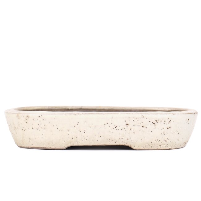 Maceta rectangular de color blanco roto para bonsái de Shuhou - 350 x 260 x 60 mm