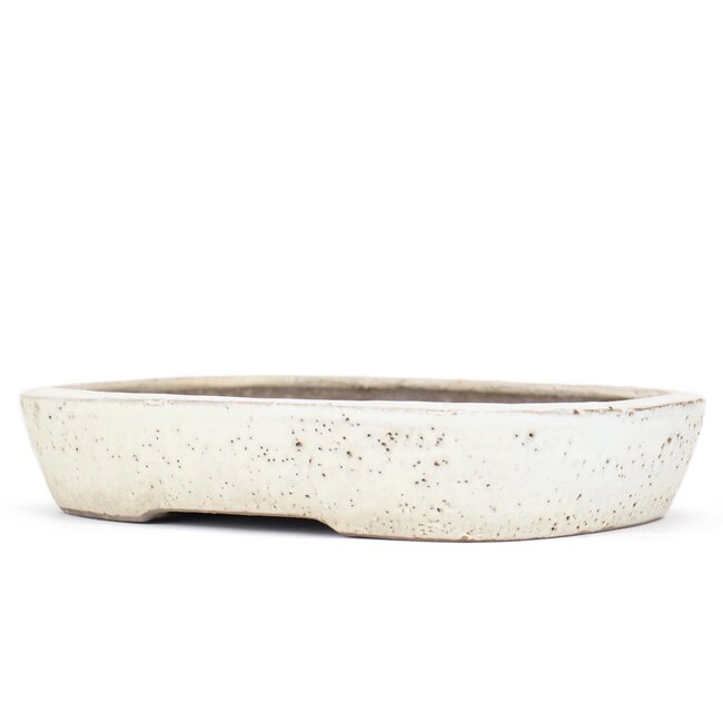 Rectangular off-white bonsai pot by Shuhou - 350 x 260 x 60 mm
