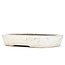Rectangular off-white bonsai pot by Shuhou - 350 x 260 x 60 mm