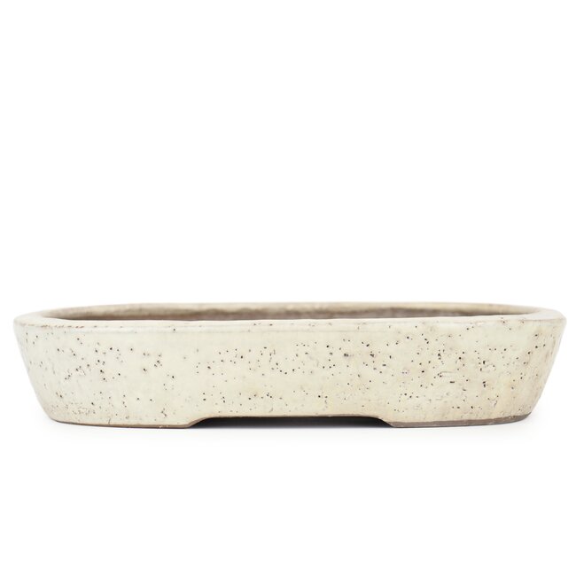 Rectangular off-white bonsai pot by Shuhou - 350 x 260 x 60 mm