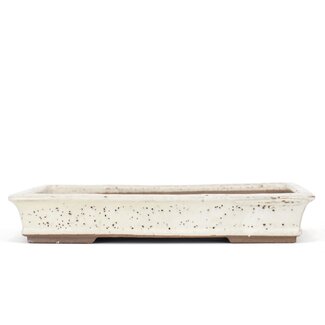 Shuuhou (Hidemi Kataoka) 355 mm rectangular beige bonsai pot by Shuhou, Tokoname, Japan