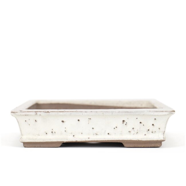 Maceta de bonsai rectangular beige de Shuhou - 355 x 250 x 55 mm