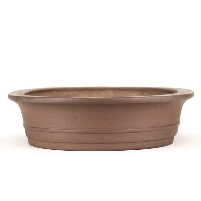 Maceta bonsai ovalada sin esmaltar de Taizan - 460 x 360 x 95 mm