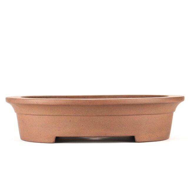 Vaso bonsai ovale non smaltato di Keizan - 365 x 295 x 85 mm