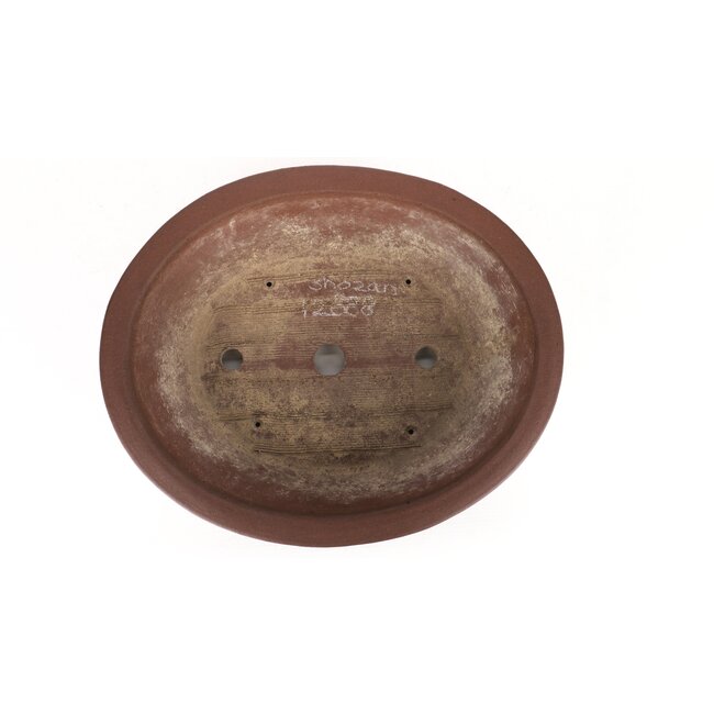 Pot à bonsaï ovale non émaillé par Shozan - 330 x 270 x 90 mm