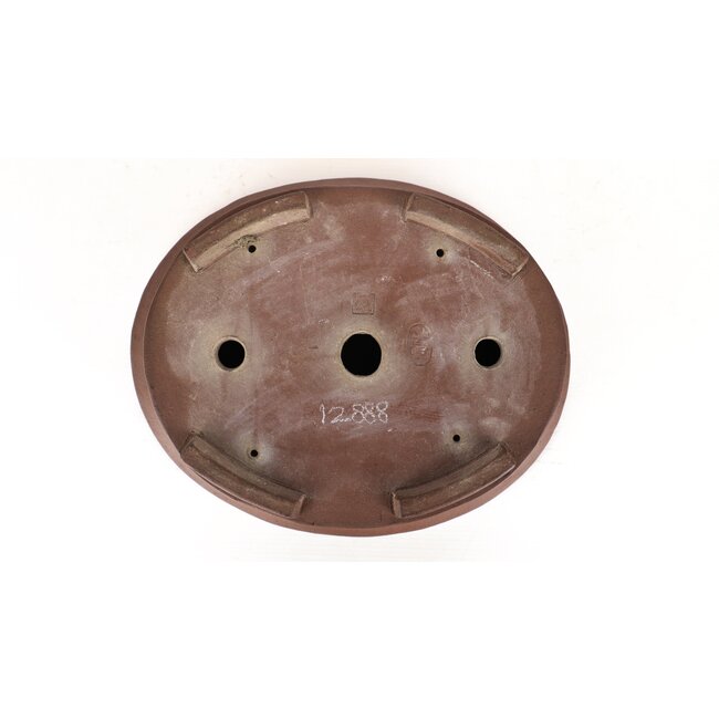 Pot à bonsaï ovale non émaillé par Shozan - 330 x 270 x 90 mm