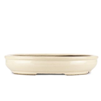 Taizan 405 mm oval beige bonsai pot by Taizan, Tokoname, Japan