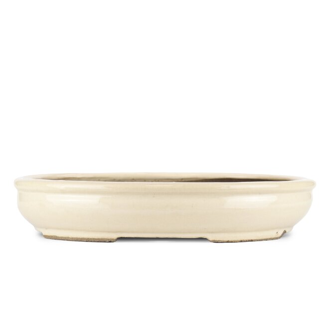 Oval beige bonsai pot by Taizan - 405 x 290 x 75 mm