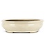 Oval beige bonsai pot by Taizan - 405 x 290 x 75 mm