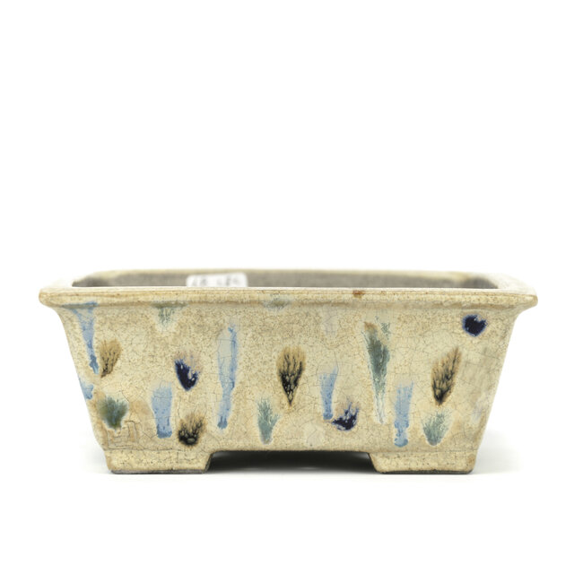 Maceta rectangular para bonsáis multicolor de Terahata Satomi Mazan - 155 x 135 x 60 mm