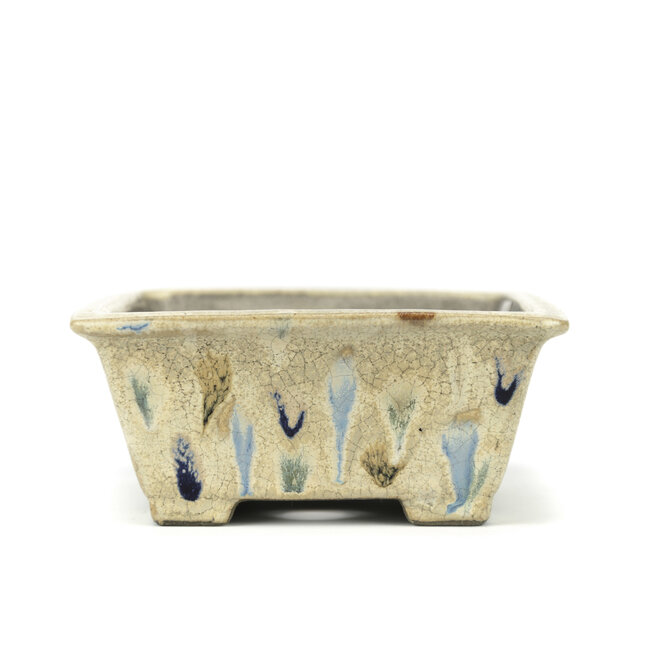 Maceta rectangular para bonsáis multicolor de Terahata Satomi Mazan - 155 x 135 x 60 mm