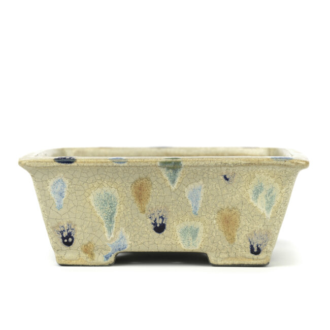 Maceta rectangular para bonsáis multicolor de Terahata Satomi Mazan - 155 x 135 x 63 mm