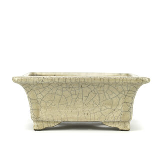  Satomi Mazan, Mazan Terahata 145 mm rectangular beige bonsai pot by Terahata Satomi Mazan, Tokoname, Japan