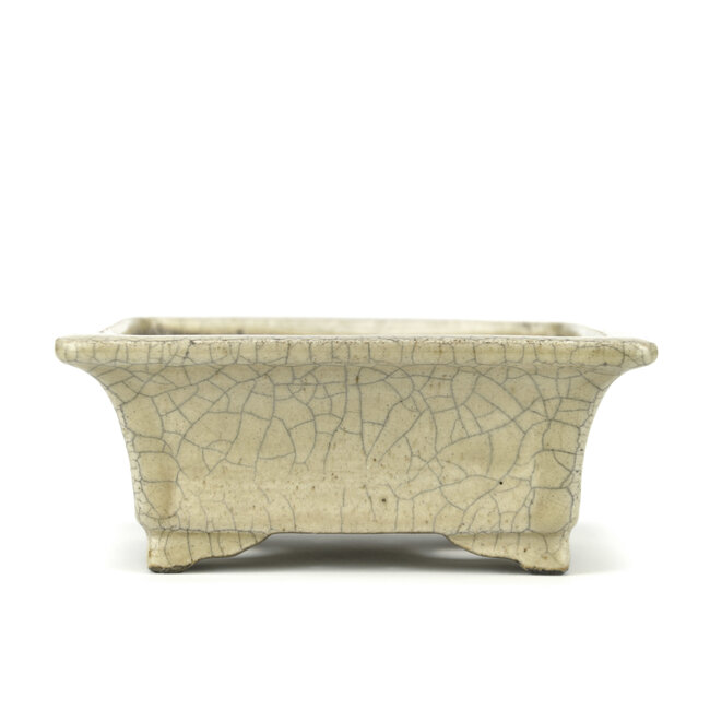 Maceta de bonsai rectangular beige de Terahata Satomi Mazan - 145 x 125 x 58 mm