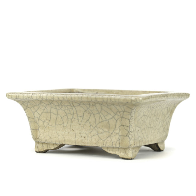 Maceta de bonsai rectangular beige de Terahata Satomi Mazan - 145 x 125 x 58 mm