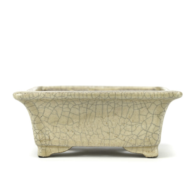 Rechteckiger beiger Bonsai-Topf von Terahata Satomi Mazan - 145 x 125 x 58 mm