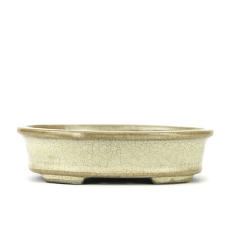  Satomi Mazan, Mazan Terahata Vaso bonsai beige ovale da 140 mm di Terahata Satomi Mazan, Tokoname, Giappone