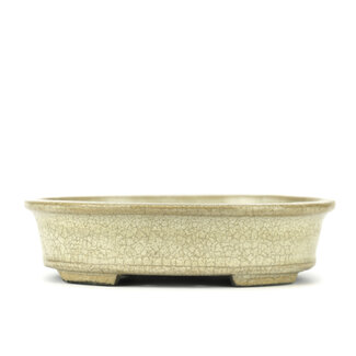 Satomi Mazan, Mazan Terahata 140 mm oval beige bonsai pot by Terahata Satomi Mazan, Tokoname, Japan