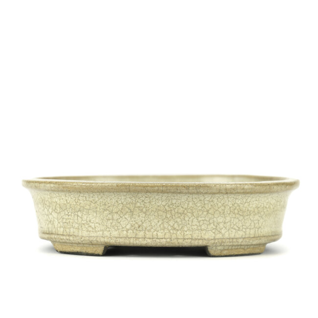 Vaso bonsai ovale beige di Terahata Satomi Mazan - 140 x 115 x 38 mm