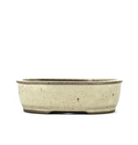 Ovaler beiger Bonsai-Topf von Yamaaki - 125 x 105 x 38 mm
