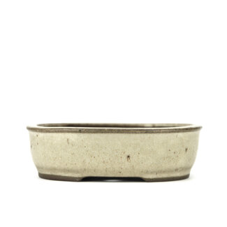 Yamaaki 125 mm oval beige bonsai pot by Yamaaki, Tokoname, Japan