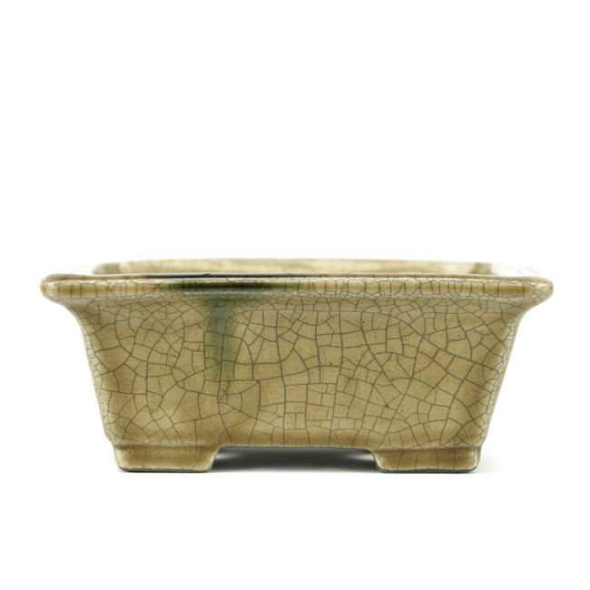 Rectangular beige bonsai pot by Terahata Satomi Mazan - 165 x 135 x 65 mm