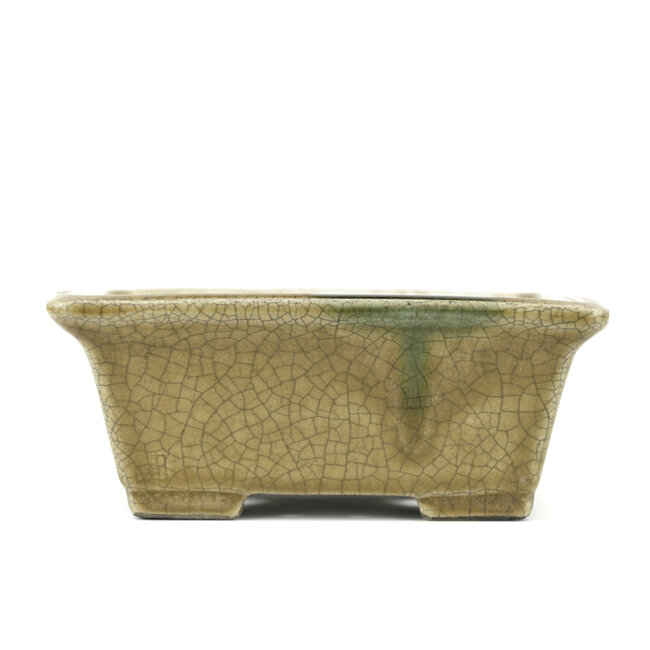 Rectangular beige bonsai pot by Terahata Satomi Mazan - 165 x 135 x 65 mm