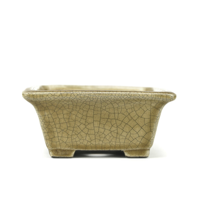 Rechthoekige beige bonsaipot van Terahata Satomi Mazan - 165 x 135 x 65 mm