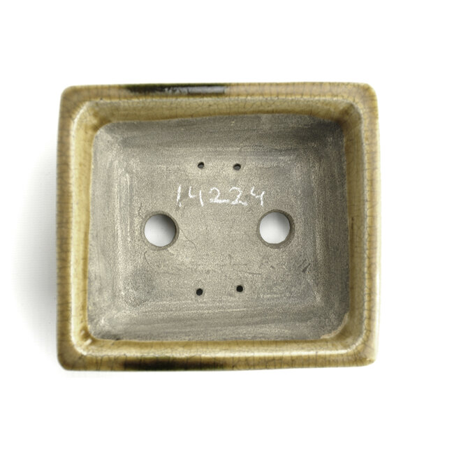 Maceta de bonsai rectangular beige de Terahata Satomi Mazan - 165 x 135 x 65 mm