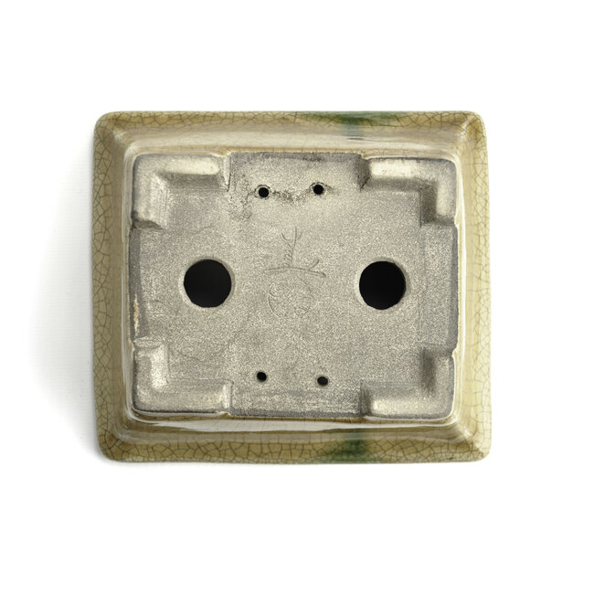 Maceta de bonsai rectangular beige de Terahata Satomi Mazan - 165 x 135 x 65 mm