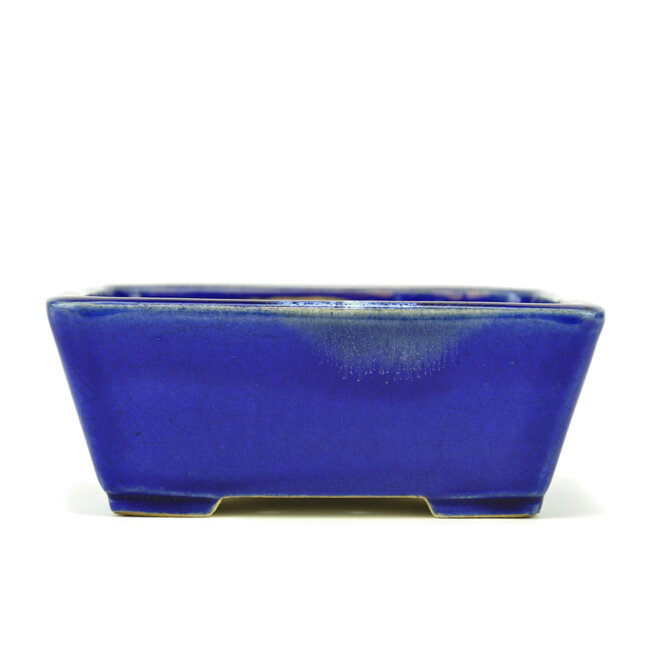Pot à bonsaï rectangulaire bleu par Terahata Satomi Mazan - 165 x 140 x 65 mm