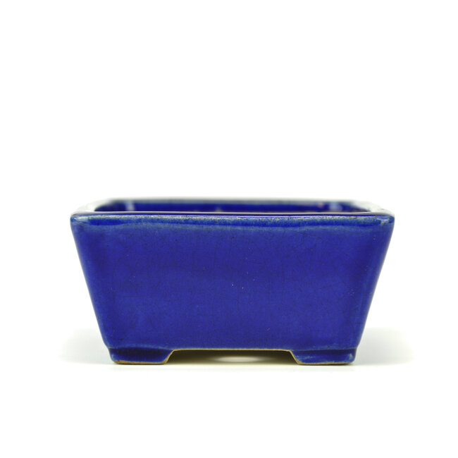 Vaso bonsai rettangolare blu di Terahata Satomi Mazan - 165 x 140 x 65 mm