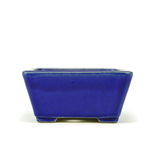 Pot à bonsaï rectangulaire bleu par Terahata Satomi Mazan - 165 x 140 x 65 mm