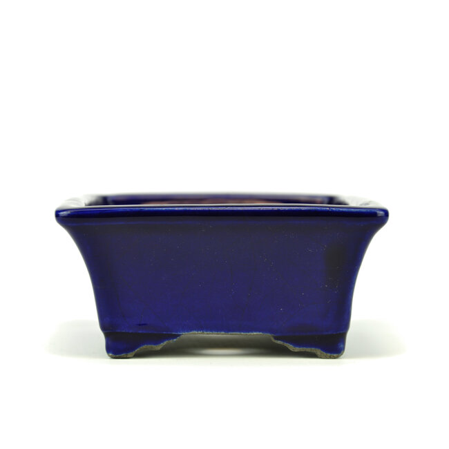 Pot à bonsaï rectangulaire bleu par Terahata Satomi Mazan - 158 x 136 x 65 mm