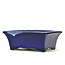 Rectangular blue bonsai pot by Terahata Satomi Mazan - 158 x 136 x 65 mm