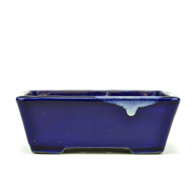 Rectangular blue bonsai pot by Terahata Satomi Mazan - 157 x 128 x 55 mm