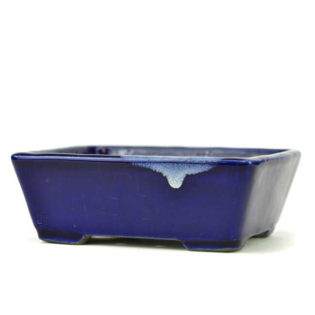Maceta de bonsai rectangular azul de Terahata Satomi Mazan - 157 x 128 x 55 mm