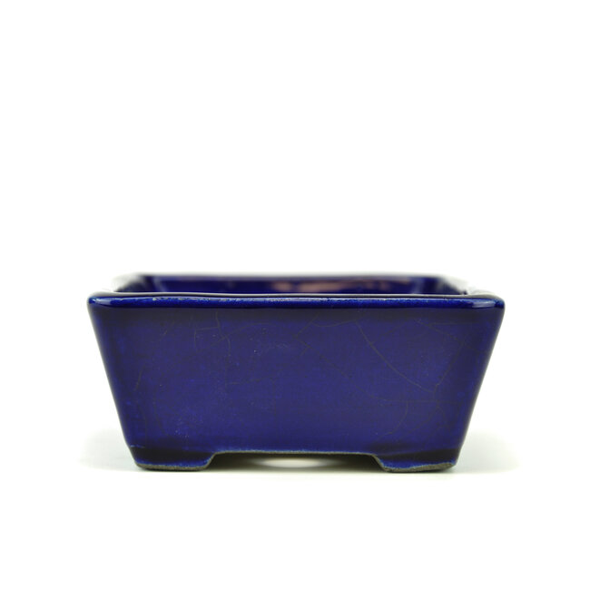 Rechteckiger blauer Bonsai-Topf von Terahata Satomi Mazan - 157 x 128 x 55 mm